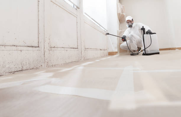 24/7 Emergency Mold Inspection experts in Franklin Lakes, NJ
