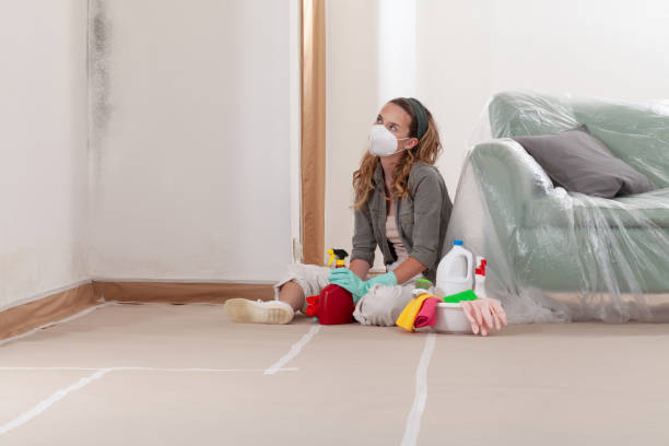 Reliable Mold Inspection contractor in Franklin Lakes, NJ by WQB Mold Removal